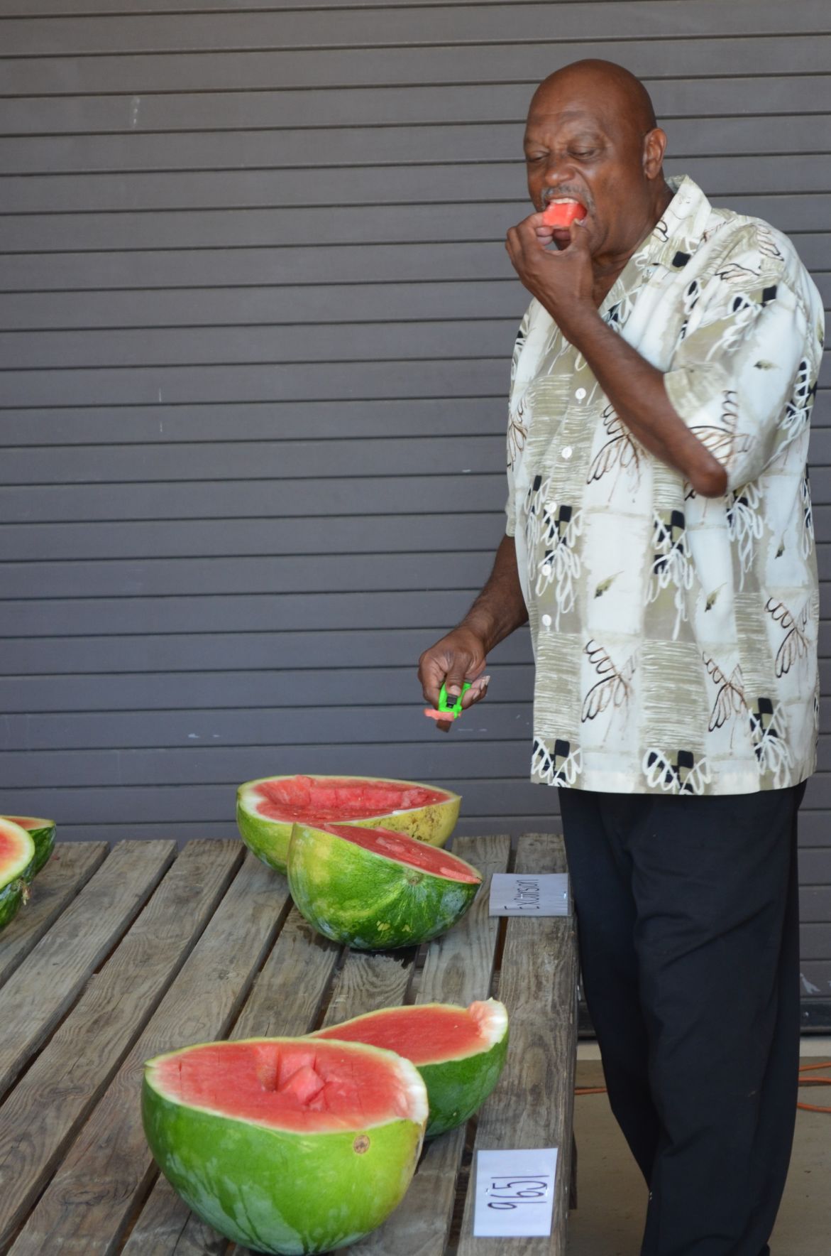 Watermelon Field Day